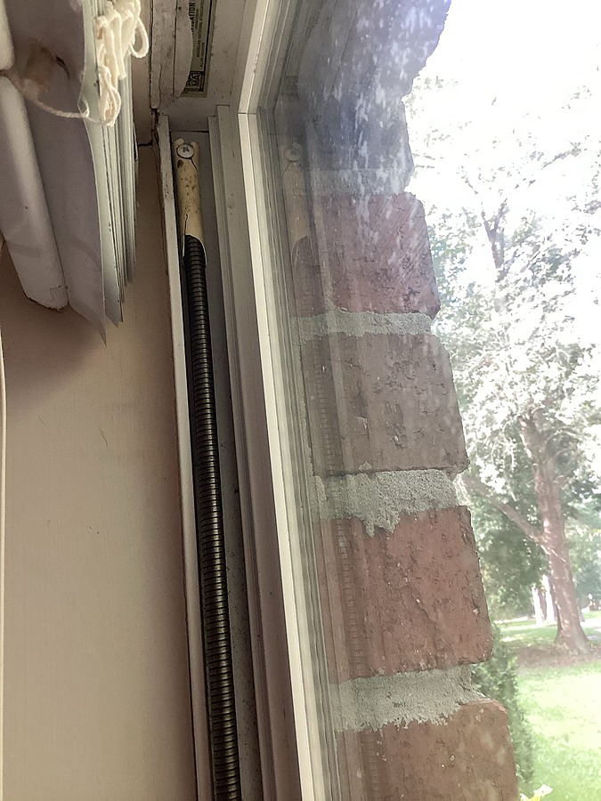 Window Spring 1